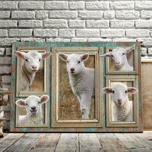 Lamb Portrait - Lamb Window Canvas, Wall-art Canvas