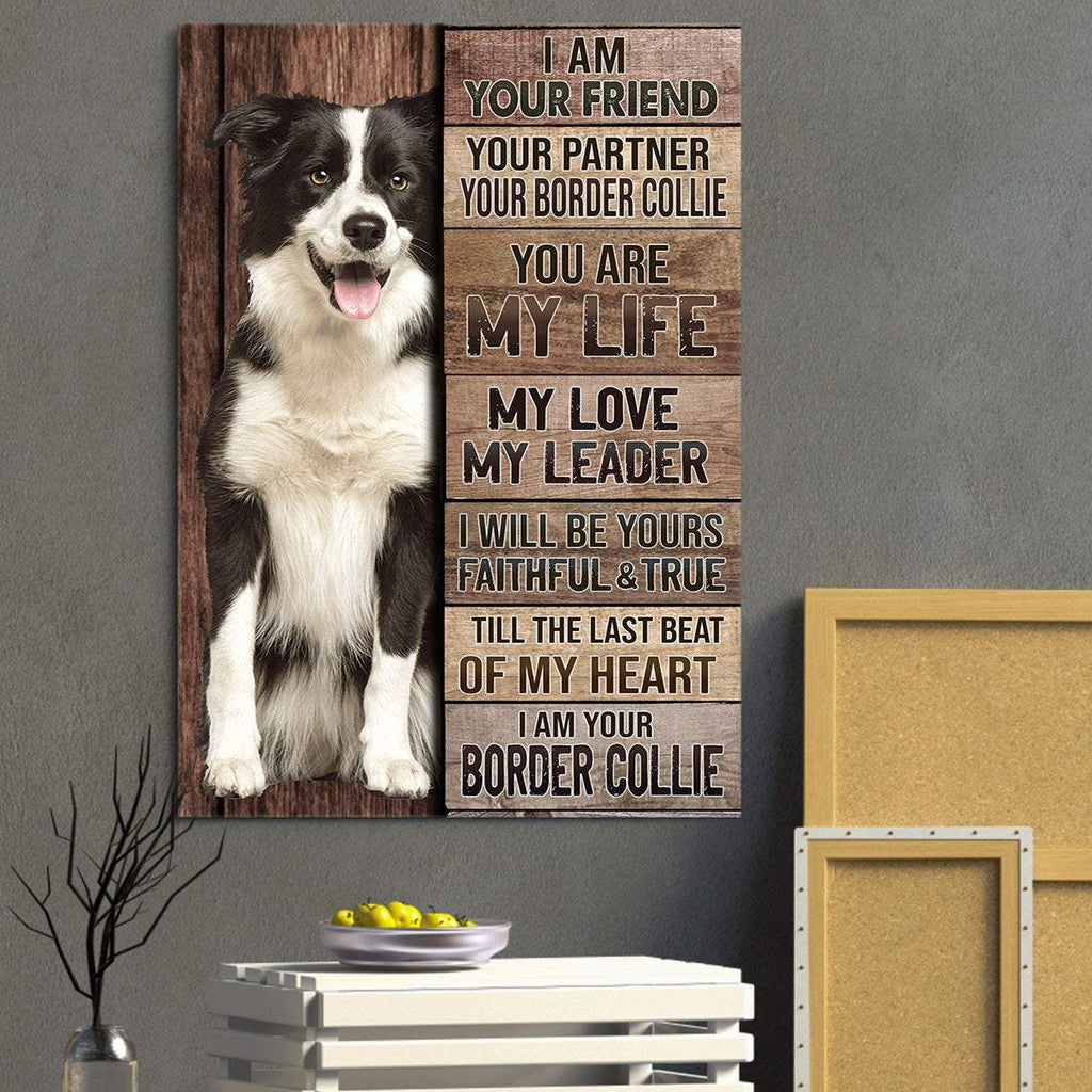 I Am Your Friend Your Partner Your Border Collie Canvas - Cat And Flower - Canvas Wall Art - Canvas Wall Art - Best Gift for Dog Lovers